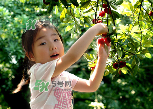 八月份還有楊梅嗎？楊梅幾月份結(jié)束？