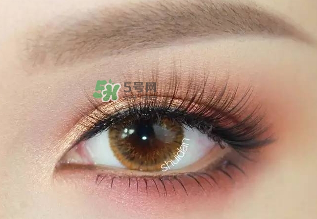 zoeva cocoa blend眼影盤 zoeva cocoa可可盤色號試色 zoeva cocoa blend眼影盤 zoeva cocoa可可盤色號試色