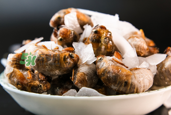 知了殼能治破傷風嗎？知了殼能治什么病？