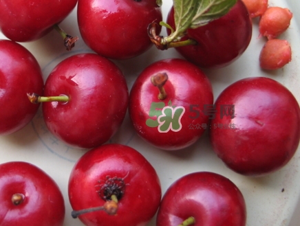 鈣果什么味道？鈣果好吃嗎？