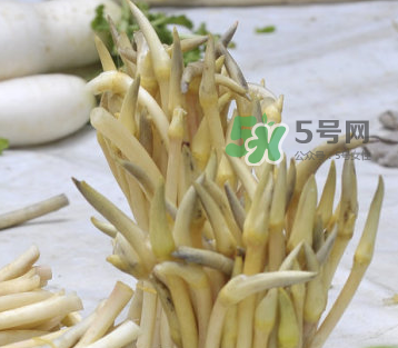 2017年藕帶什么時候下市？藕帶下市時間是幾月？