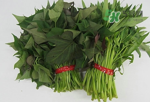 紅薯葉怎么做好吃？什么人不能吃紅薯葉