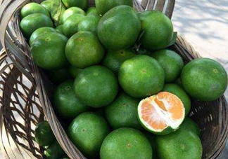 八月份可以吃橘子嗎？八月份的橘子能吃嗎？