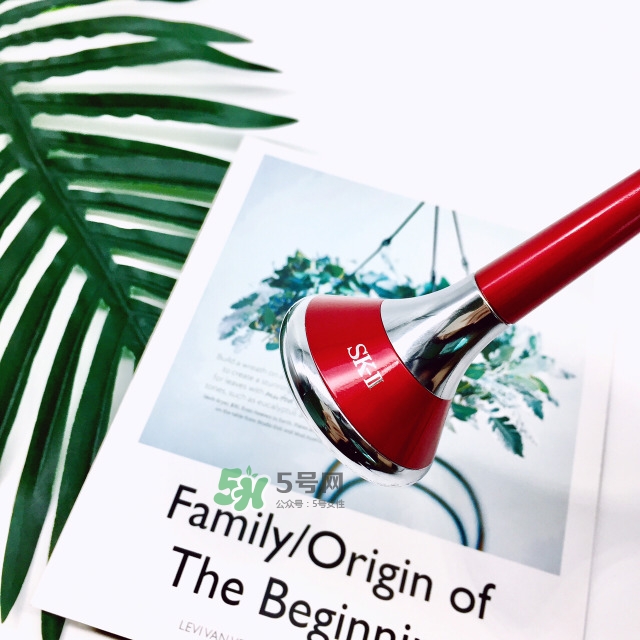 skii磁力微振導(dǎo)入儀怎么用？sk2磁力微震導(dǎo)入儀使用方法