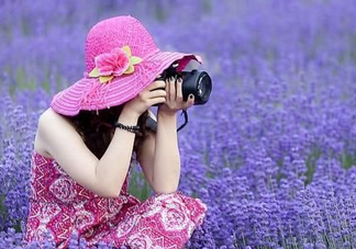 八月份還有薰衣草嗎？8月份還有薰衣草嗎？