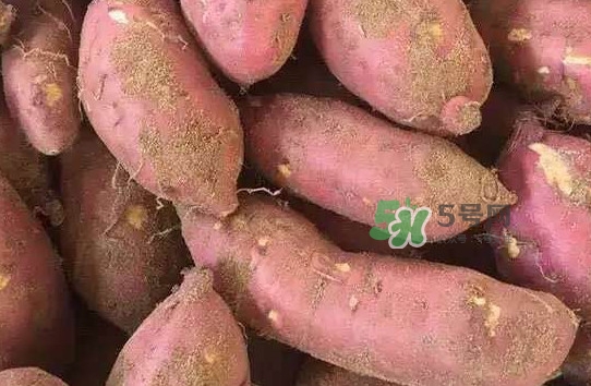 地瓜發(fā)芽了怎么種盆栽？拔絲地瓜怎么熬糖