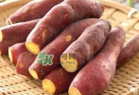 地瓜怎么做好吃？地瓜怎么吃好吃