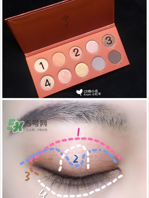 zoeva玫瑰金眼影盤怎么畫？zoeva rose golden畫法教程