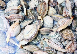 花蛤可以淡水養(yǎng)幾天？花蛤可以養(yǎng)幾天？