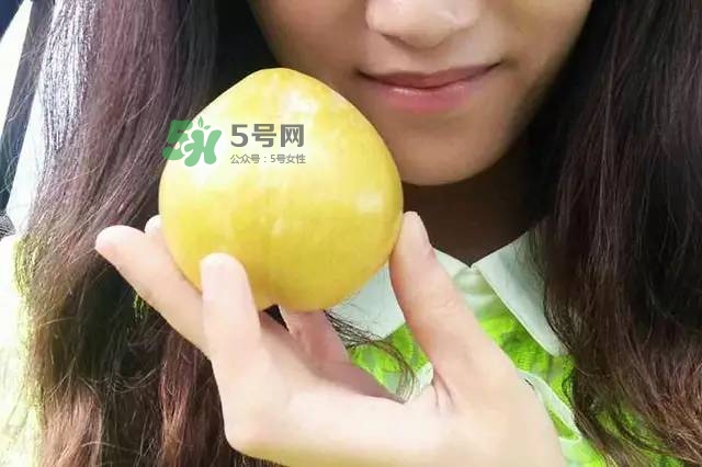 奈李是什么水果？奈李為什么會空心