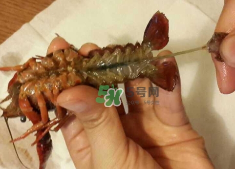 小龍蝦腹部黑線是什么_小龍蝦腹部黑線怎么去除 小龍蝦腹部黑線是什么_小龍蝦腹部黑線怎么去除