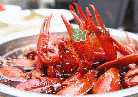 小龍蝦放水里能活多久_小龍蝦放在水里會(huì)死嗎 小龍蝦放水里能活多久_小龍蝦放在水里會(huì)死嗎