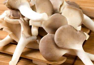 哪些人不能吃秀珍菇？秀珍菇不能和什么同吃？