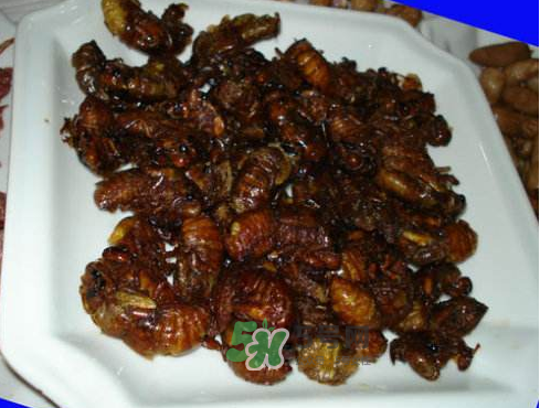 知了猴可以煮著吃嗎？知了猴怎么煮？