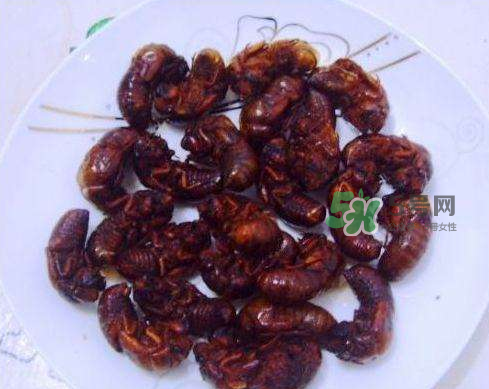 知了猴可以煮著吃嗎？知了猴怎么煮？