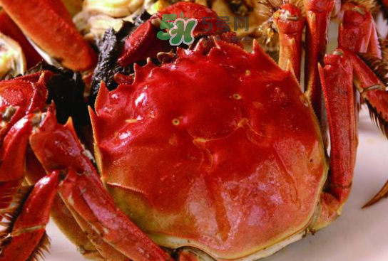 2017太湖大閘蟹價格 2017太湖大閘蟹上市時間 2017太湖大閘蟹價格 2017太湖大閘蟹上市時間