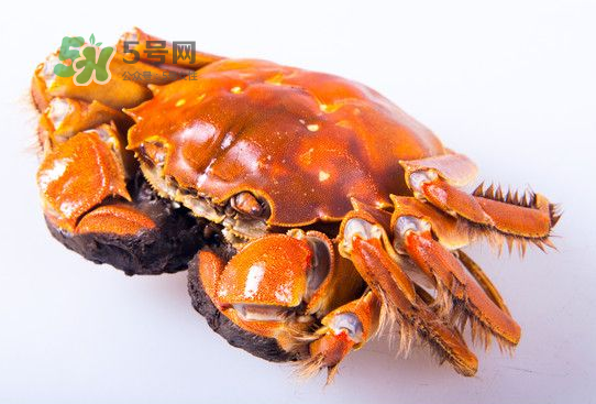 2017太湖大閘蟹價格 2017太湖大閘蟹上市時間 2017太湖大閘蟹價格 2017太湖大閘蟹上市時間