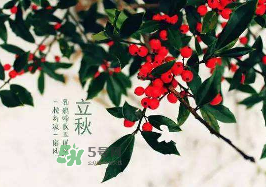 立秋為什么在處暑前？為什么立秋早過處暑？