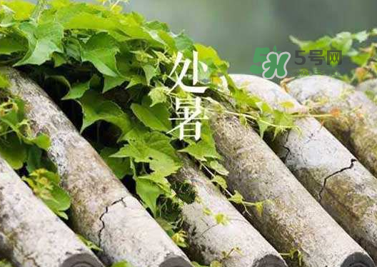 立秋為什么在處暑前？為什么立秋早過處暑？