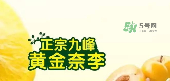 黃金奈李多少錢一斤？黃金奈李價格