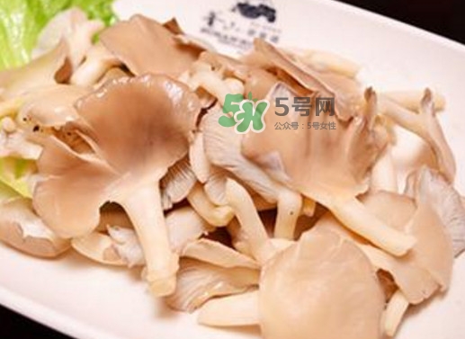 秀珍菇孕婦可以吃嗎？孕婦能吃秀珍菇嗎