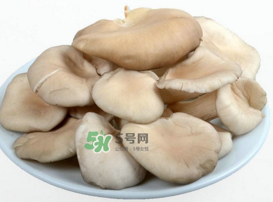 秀珍菇可以和海帶一起吃嗎？海帶能和秀珍菇一起吃嗎