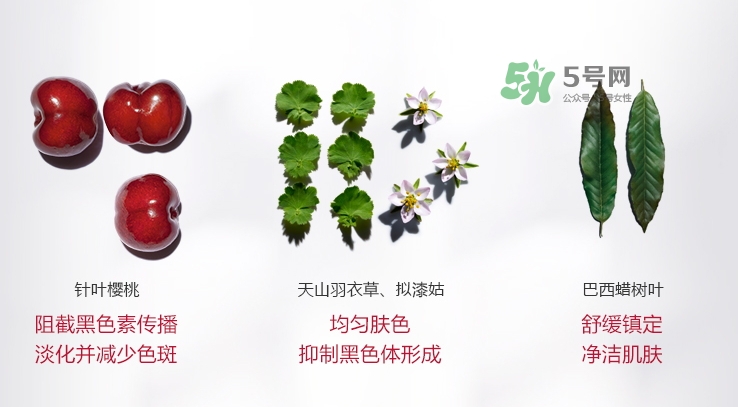 嬌韻詩牛奶水好用嗎？嬌韻詩牛奶水孕婦可以用嗎