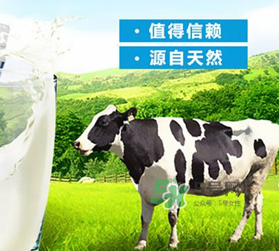 牛初乳是奶粉嗎？牛初乳跟奶粉的區(qū)別