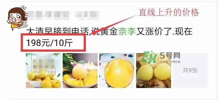 黃金奈李多少錢一斤？黃金奈李價格