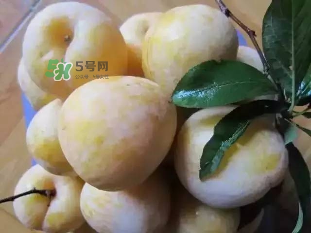 黃金奈李的營養(yǎng)價值 黃金奈李的功效 黃金奈李的營養(yǎng)價值 黃金奈李的功效