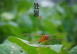 立秋為什么在處暑前？為什么立秋早過處暑？