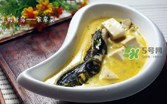 黃刺魚怎么殺？黃刺魚怎么處理