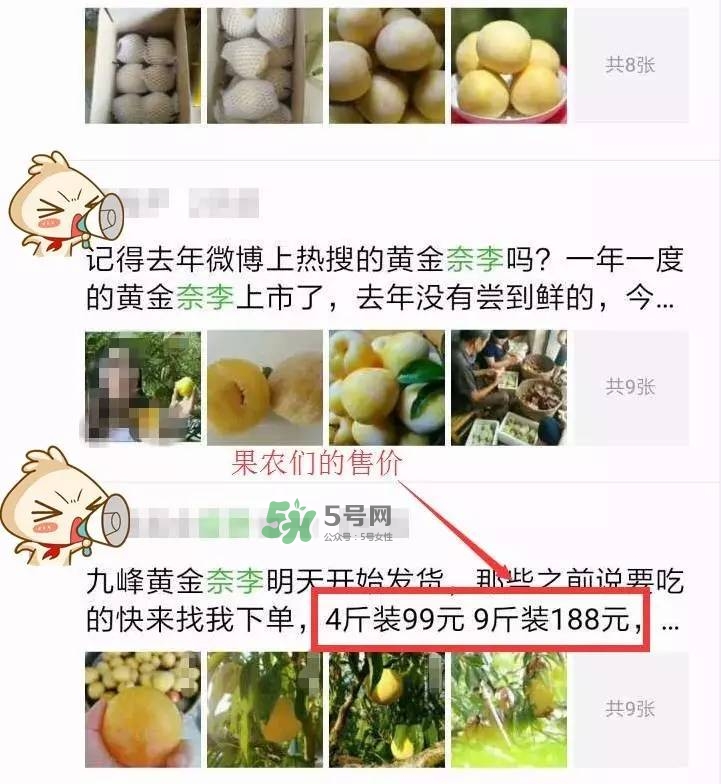 黃金奈李多少錢一斤？黃金奈李價格