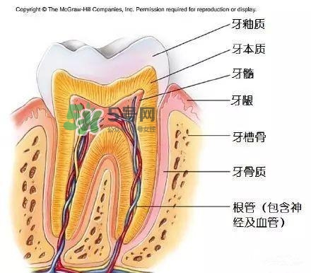 regenerate牙膏多少錢(qián)？regenerate牙膏專(zhuān)柜價(jià)格