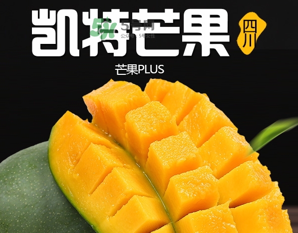 凱特芒果多少錢一斤？凱特芒果價格