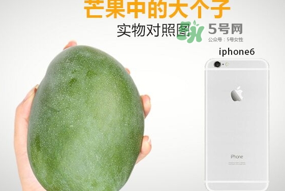 凱特芒果多少錢一斤？凱特芒果價格