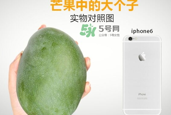 凱特芒果什么時(shí)候上市？凱特芒果上市時(shí)間