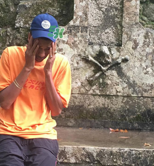 palace2017秋冬新款tri ferg tee什么樣_什么時(shí)候發(fā)售？