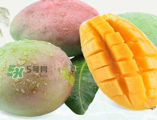 凱特芒果什么時(shí)候上市？凱特芒果上市時(shí)間