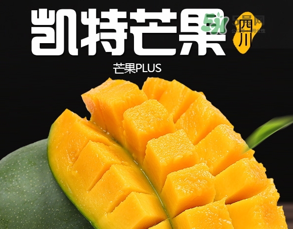 凱特芒果的營養(yǎng)價值 凱特芒果的功效與禁忌 凱特芒果的營養(yǎng)價值 凱特芒果的功效與禁忌