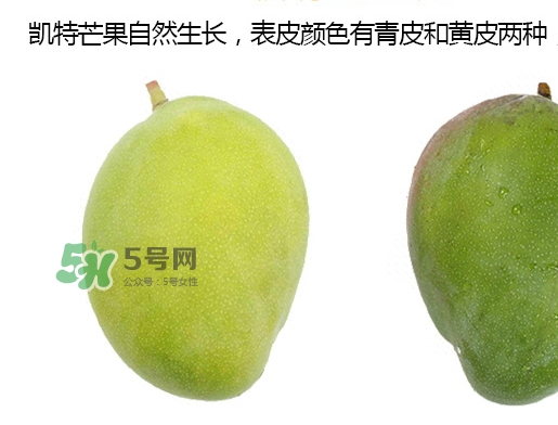 凱特芒果的營養(yǎng)價值 凱特芒果的功效與禁忌 凱特芒果的營養(yǎng)價值 凱特芒果的功效與禁忌