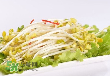 豆芽怎么保存？新鮮豆芽放冰箱能放幾天？