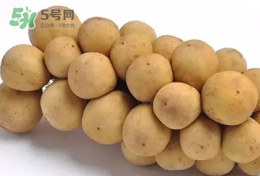 龍宮果多少錢一斤？龍功果價(jià)格表