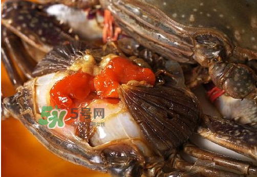 梭子蟹有蟹黃嗎？梭子蟹蟹黃在哪里？