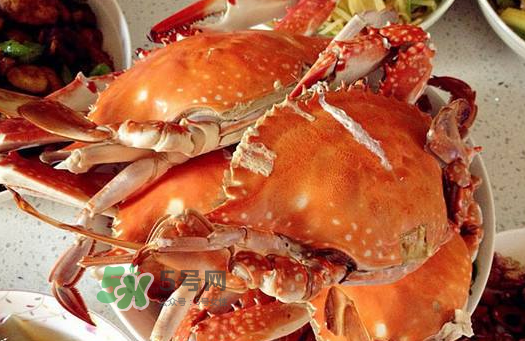 梭子蟹為什么沒有蟹黃？梭子蟹蟹黃能吃嗎？