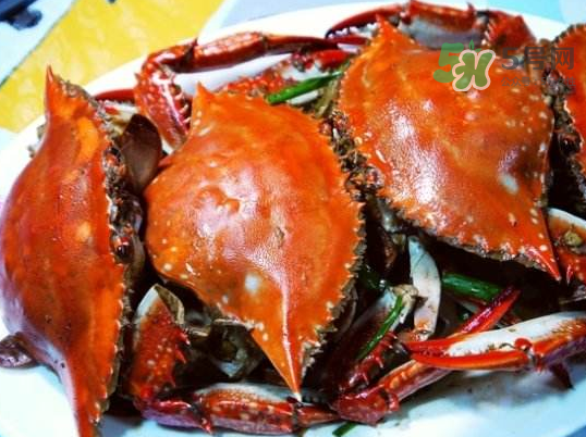 梭子蟹可以煮嗎？梭子蟹怎么煮？