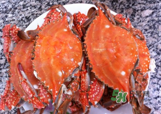 梭子蟹公的好還是母的好？?梭子蟹吃公的還是母的？