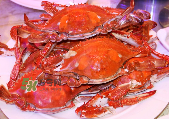 梭子蟹公的好還是母的好？?梭子蟹吃公的還是母的？