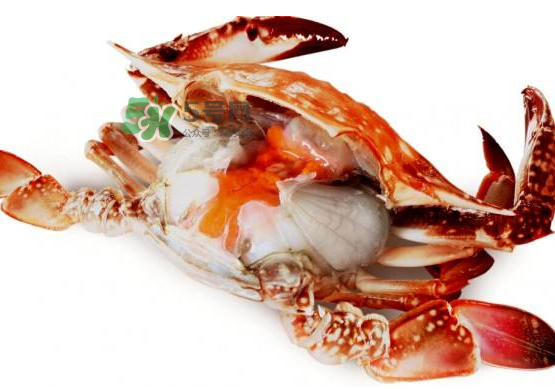 梭子蟹是寒性的嗎？梭子蟹哪些人不能吃？