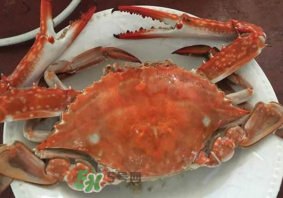 梭子蟹是寒性的嗎？梭子蟹哪些人不能吃？